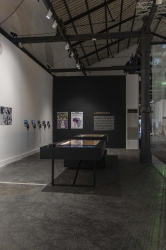 56 BERLINGUER installation-view ph.Monkeys-Video-Lab